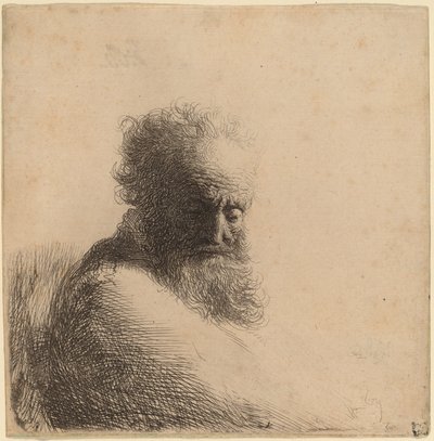 Busto de un anciano barbudo, mirando hacia abajo, tres cuartos a la derecha de Rembrandt van Rijn