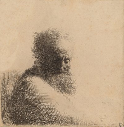 Busto de un Hombre Viejo con Barba, Mirando Hacia Abajo, Tres Cuartos a la Derecha de Rembrandt van Rijn