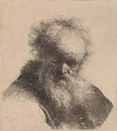 Busto de un anciano con barba larga y manga blanca, c. 1630 de Rembrandt van Rijn
