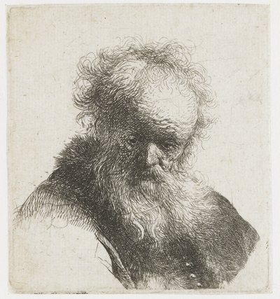 Busto de un anciano con barba fluida y manga blanca de Rembrandt van Rijn