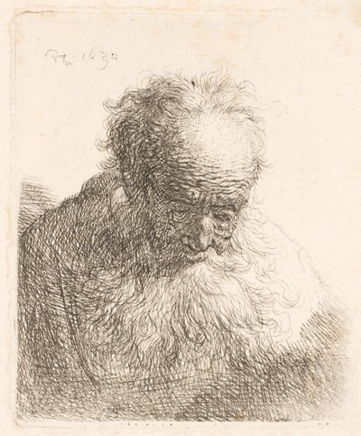Busto de un anciano con barba larga: la cabeza inclinada hacia delante; el hombro izquierdo sin sombrear de Rembrandt van Rijn