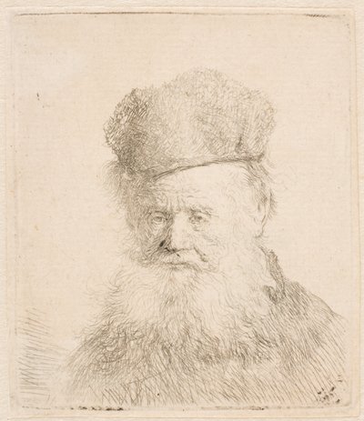 Busto de un anciano con gorro de piel y barba larga: casi de frente: mirada directa de Rembrandt van Rijn