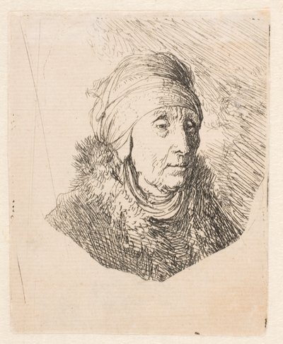 Busto de una anciana con un tocado alto atado a la barbilla de Rembrandt van Rijn