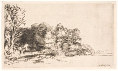 Grupo de árboles con una vista de Rembrandt van Rijn