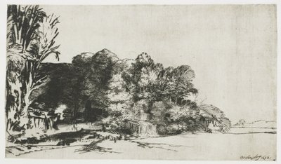 Un grupo de árboles con una vista de Rembrandt van Rijn