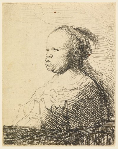 La "Blanca Negra" de Rembrandt van Rijn