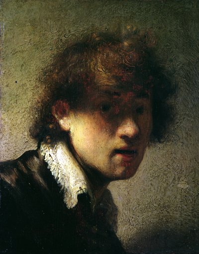 Cabeza de un joven o autorretrato, 1629 de Rembrandt van Rijn