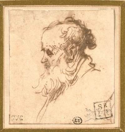 Cabeza de un hombre barbudo de perfil a la izquierda de Rembrandt van Rijn