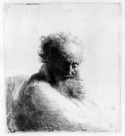 Cabeza de un anciano, 1631 de Rembrandt van Rijn