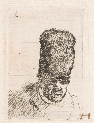 Cabeza de un viejo con un gorro de piel alto de Rembrandt van Rijn