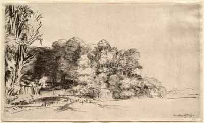 Paisaje con un grupo de árboles de Rembrandt van Rijn