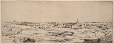 Paisaje con vistas a Haarlem (El campo del pesador de oro) de Rembrandt van Rijn