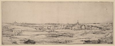 Paisaje con vistas a Haarlem (El campo del pesador de oro) de Rembrandt van Rijn