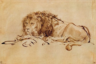 León descansando de Rembrandt van Rijn