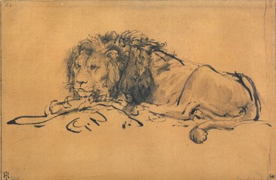 León descansando, girado a la izquierda, c1650 de Rembrandt van Rijn