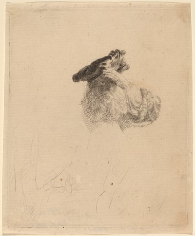 Viejo sombreando sus ojos con su mano de Rembrandt van Rijn