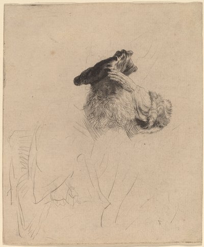 Viejo sombreando sus ojos con su mano de Rembrandt van Rijn