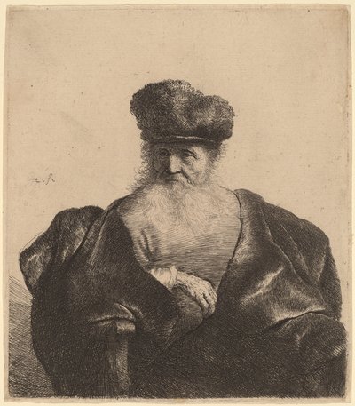Viejo con barba, gorro de piel y capa de terciopelo de Rembrandt van Rijn