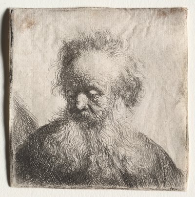Viejo con barba fluida: Busto, 1631 de Rembrandt van Rijn