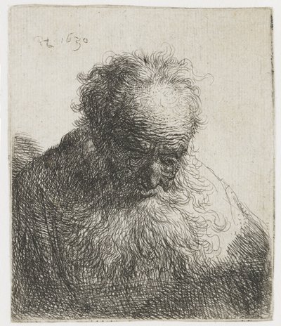 Anciano con barba poblada, el hombro izquierdo sin sombrear
Busto de anciano con barba poblada: la cabeza inclinada hacia delante: hombro izquierdo sin sombrear de Rembrandt van Rijn