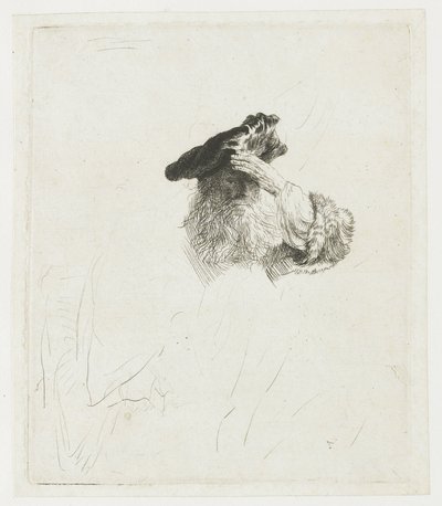  de Rembrandt van Rijn