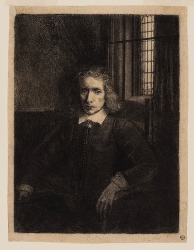 Pieter Haaringh (Joven Haaringh) de Rembrandt van Rijn