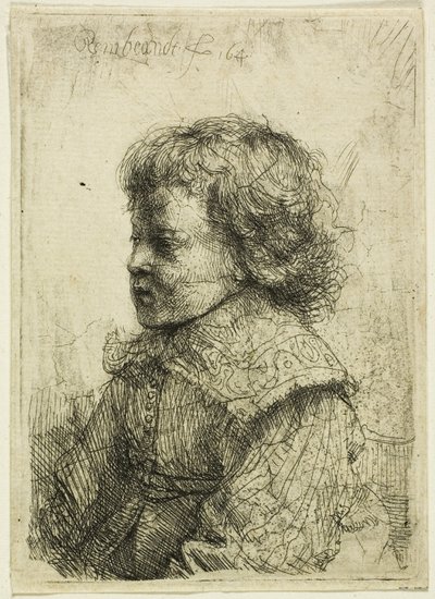Retrato de un niño de Rembrandt van Rijn