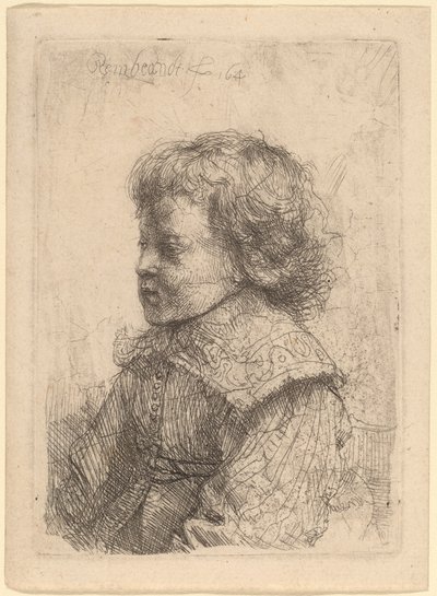 Retrato de un niño de perfil de Rembrandt van Rijn