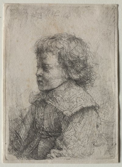 Portrait of a Boy in Profile de Rembrandt van Rijn