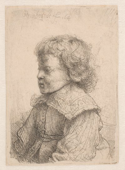 Retrato de un niño, de perfil de Rembrandt van Rijn