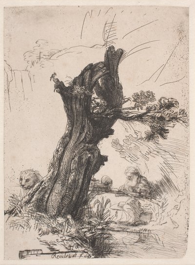 San Jerónimo junto a un sauce podado de Rembrandt van Rijn