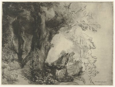 San Francisco bajo un árbol, rezando
San Francisco bajo un árbol rezando de Rembrandt van Rijn