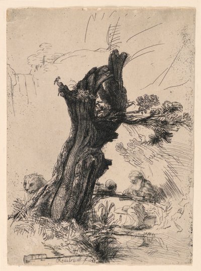San Jerónimo junto a un sauce de Rembrandt van Rijn