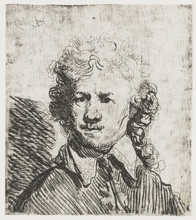 Autorretrato con la cabeza descubierta
Autorretrato con la cabeza descubierta: busto, grabado toscamente de Rembrandt van Rijn