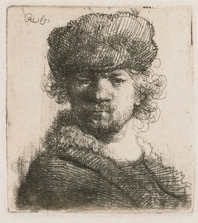 Autorretrato con gorro de piel pesado
Autorretrato con gorro de piel: busto de Rembrandt van Rijn