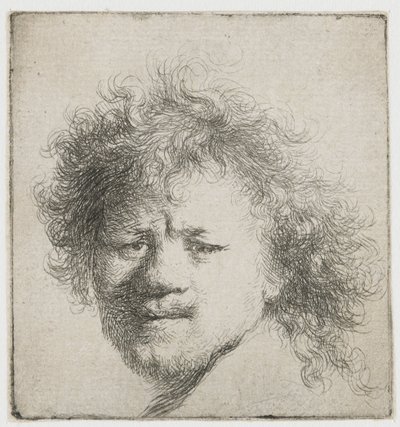 Autorretrato con pelo largo y tupido: sólo la cabeza de Rembrandt van Rijn