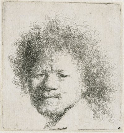 Autorretrato con el pelo largo y espeso: solo la cabeza de Rembrandt van Rijn