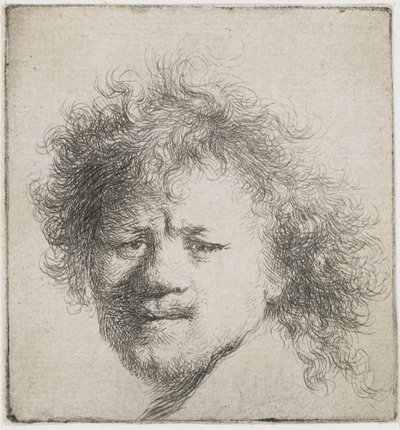Autorretrato con cabello largo y espeso: solo cabeza, ca 1631 de Rembrandt van Rijn