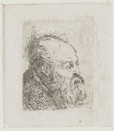 Hoja con estudios de cabezas masculinas: anciano barbudo, casi de perfil hacia la derecha; boca entreabierta de Rembrandt van Rijn