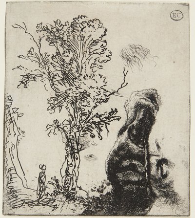 Hoja con dos bocetos: «Un árbol» y «Parte superior de un autorretrato con gorro de terciopelo» de Rembrandt van Rijn