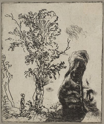 Hoja con dos estudios: un árbol y la parte superior de una cabeza de Rembrandt con un sombrero de terciopelo, ca. 1642 de Rembrandt van Rijn