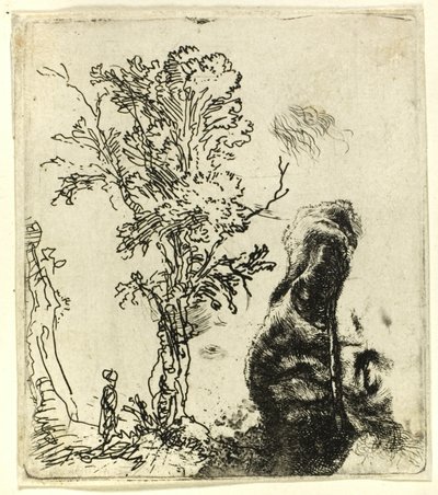 Hoja con dos estudios: un árbol y la parte superior de la cabeza del artista con gorra de terciopelo de Rembrandt van Rijn