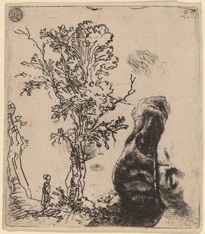 Hoja con dos estudios: un árbol y la parte superior de una cabeza del artista con gorra de terciopelo de Rembrandt van Rijn