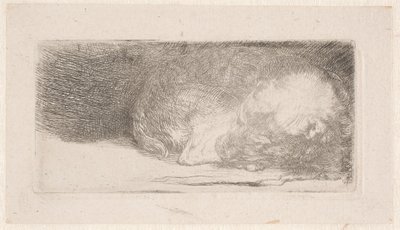  de Rembrandt van Rijn