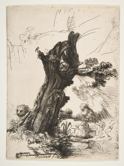 San Jerónimo junto a un sauce trasmocho, 1648 de Rembrandt van Rijn