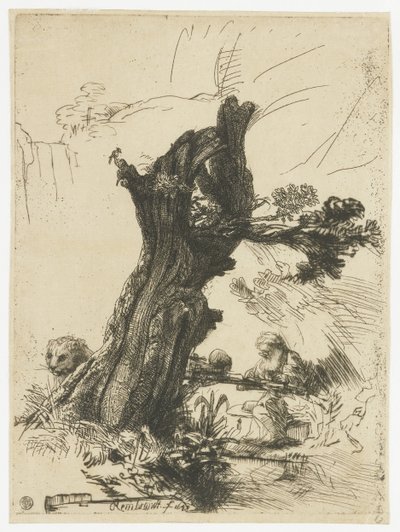San Jerónimo junto a un sauce carrasco de Rembrandt van Rijn