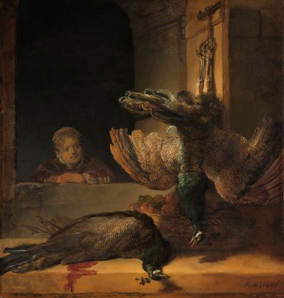 Naturaleza muerta con pavos reales de Rembrandt van Rijn