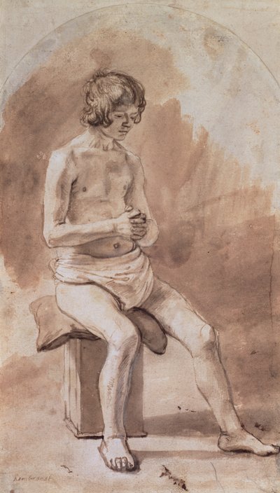 Estudio de un joven desnudo de Rembrandt van Rijn