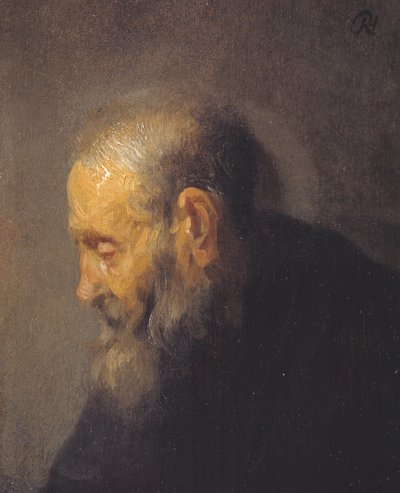 Estudio de un anciano de perfil de Rembrandt van Rijn