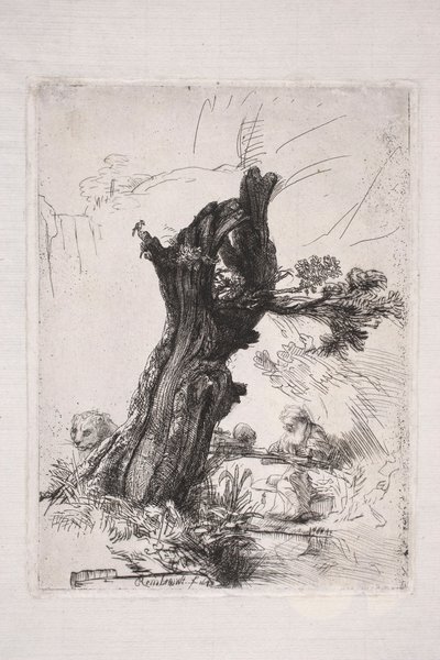 San Jerónimo escribiendo junto al tronco de un sauce de Rembrandt van Rijn